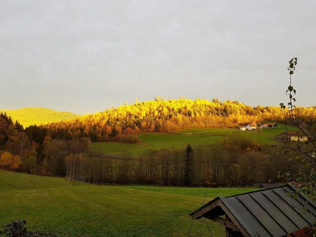 Haus Am Osterbruennl Lägenhet Ruhmannsfelden Exteriör bild